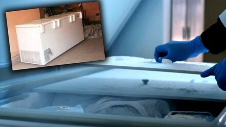 Japonya'da korkunç olay! Kızının cesedini 20 yıl boyunca derin dondurucuda sakladı - ekonomi