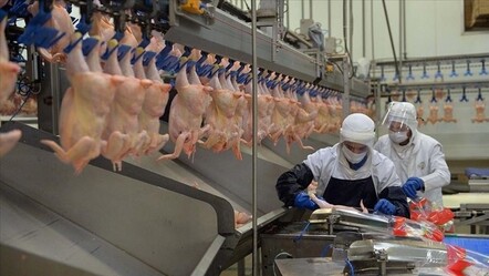 Aralarında birbirinden ünlü markalar var! 13 tavuk devine 3,7 milyar lira ceza - Ekonomi