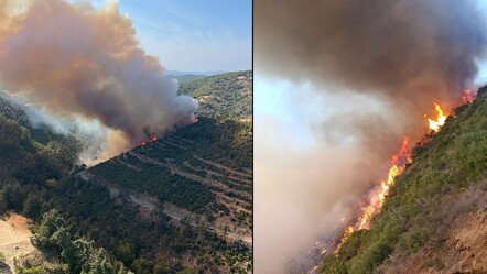 Kepsut'ta araç yangını ormana sıçradı, ekipler seferber oldu! - 3. Sayfa