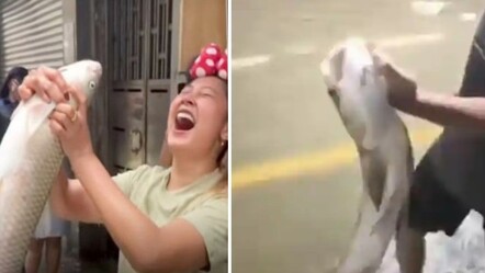 Ragasa Tayfun'u sonrası insanlar balık avına çıktı! Görüntüler tartışma konusu oldu - dunya