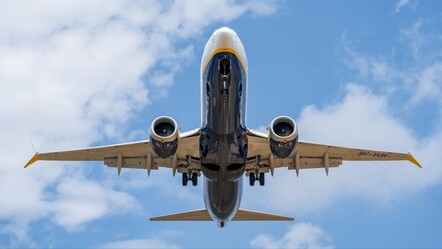 Havada panik anları: Yolcu pasaportunu yedi, ortalık karıştı - Dünya