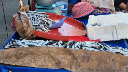 "Bu senenin balığı" diye duyurdu! Kilosu 100 liradan satılıyor - Ekonomi