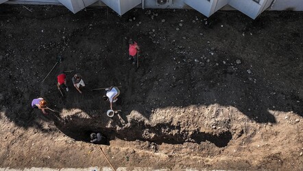 415 öğrenci gönüllü oldu! Fin balinası iskeletinin gün yüzüne çıkması için kazılar başladı - Yaşam