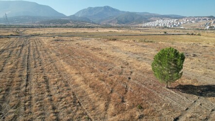 Hâlâ temel atılmadı! BYD’nin Manisa’daki fabrika alanında sessiz bekleyiş - Ekonomi