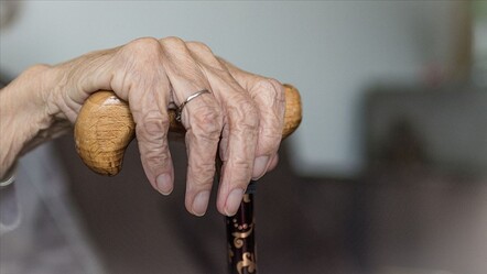 AB yasaklamıştı: Parkinson'a neden olduğu ortaya çıktı! - Sağlık