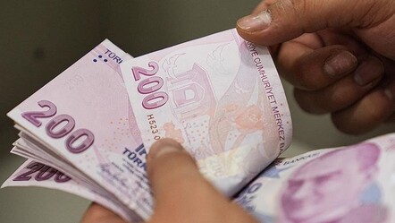 Çiftçilerin beklediği haber! 349 milyon liralık destek ödemeleri hesaplara yatacak - Ekonomi