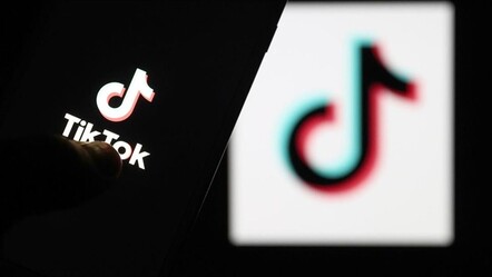 Endonezya, TikTok'un lisansını askıya aldı - Dünya