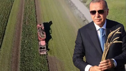 Çiftçiye çifte müjde! Erdoğan’dan 'şeker pancarı' için alım talimatı  - Ekonomi