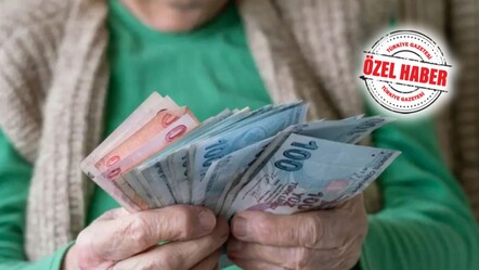 Mağduriyetin önüne geçilecek! Nafaka alanlar da 65 yaş aylığından yararlanacak  - Ekonomi