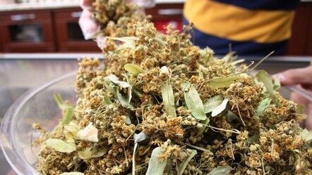 Şifa değil adeta lüks! Fiyatı altınla yarışıyor, esnaf tezgaha koymaya çekiniyor - Ekonomi