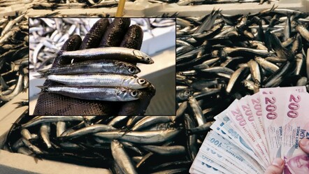 Kış mevsimi yaklaştı, fiyatlar arttı! Tezgahta en ucuzunun kilosu 200 TL'den satılıyor - Ekonomi