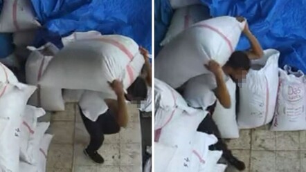 Gaziantep'teki fıstık hırsızı, şaşkına çevirdi: Yüzlerce kiloyu dakikalar içinde götürdü! - Yaşam