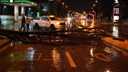 Edirne'yi sağanak vurdu! Ağaçlar devrildi, yollar kapandı - Yaşam