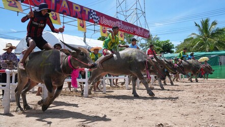 Tayland’da nefes kesen festival: Su mandaları artık göster yıldızı oldu - Dünya