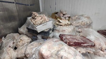 Hepsini vatandaşa yedireceklerdi! Başkentin göbeğinde 17 bin ton bozuk et bulundu - Gündem