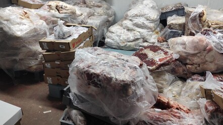 Hepsini vatandaşa yedireceklerdi! Başkentin göbeğinde 17 bin ton bozuk et bulundu - ekonomi