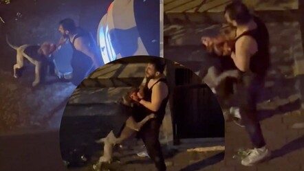 Bağırdı, yalvardı ama kurtulamadı! İstanbul'da pitbull dehşeti kamerada... Sahibinin kolunu parçaladı - 3. Sayfa