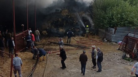 Bursa'da ahırda çıkan yangında onlarca küçükbaş hayvan telef oldu! - 3. Sayfa