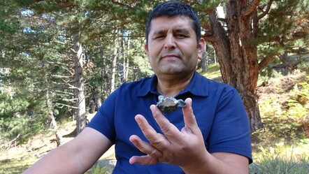 Mantar toplarken bulduğu taşla şaşkına döndü! "Artık gözüm hep yerde" - Yaşam