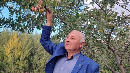 60 yıllık çiftçi ilk kez tanık oldu: Ömrümde böyle bir şey görmedim - Yaşam