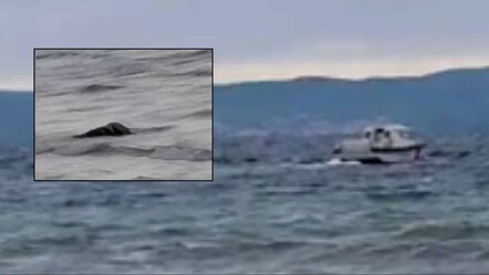 Çanakkale açıklarında tekne battı! Can kayıpları var - 3. Sayfa