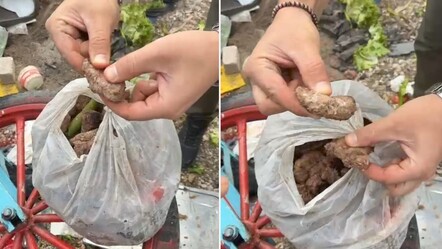 Stat çevresinde ele geçirildi, faciadan dönüldü! Taraftarlara satılacak ürünler mide bulandırdı - 3. Sayfa