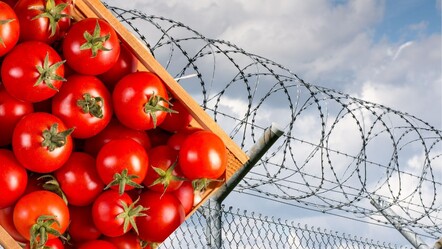 Cezaevinde skandal! Mahkumla birlikte çıkıp domates almaya gittiler - Dünya