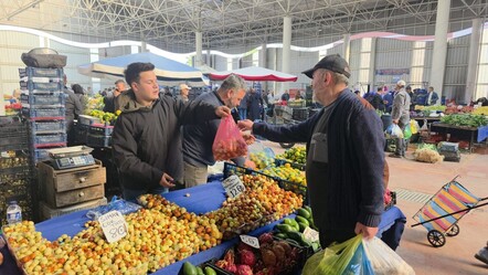Kanser hastaları için ilaç! Kilosu 120 TL'den tezgahlarda yerini aldı - Ekonomi