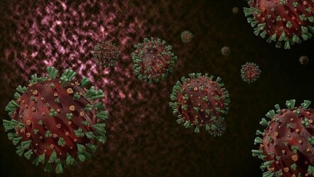 Ölümcül mpox virüsü hızla artıyor! Son bir haftada 26 vaka - Sağlık