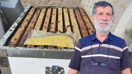 Bu bal öyle bir yerde üretiliyor ki... İnsan ayağı değmiyor, tadan bir daha istiyor - Ekonomi
