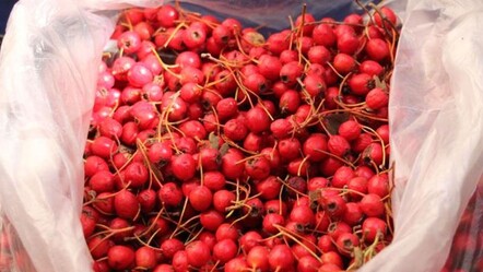 Pazarda kapış kapış gidiyor, kilosu 150 TL! İyi gelmediği hastalık yok - Sağlık