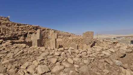 ‘Taş Tepeler’de taşlar yerinden oynuyor! Göbeklitepe gibi 30 alan var - Kültür - Sanat