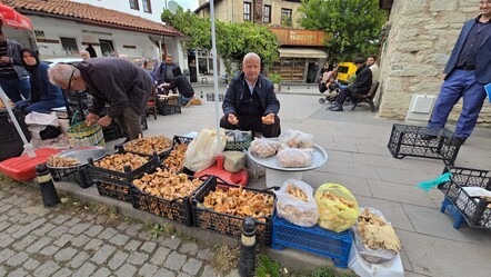 Tezgahlar doldu taştı, fiyatı dikkat çekti! 500 TL'ye alıcı buluyor - Ekonomi