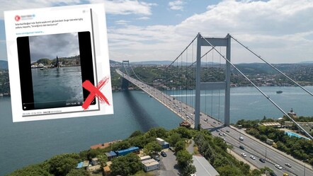 DMM'den net açıklama! Boğaz'da 'balık soykırımı' iddiası dezenformasyon çıktı - Gündem
