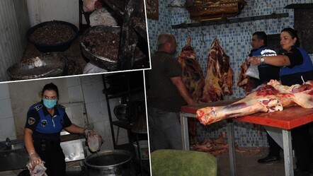 Şanlıurfa'da 1 ton bozuk ve kokmuş et ele geçirildi! Lokantalara satılacaktı - gundem
