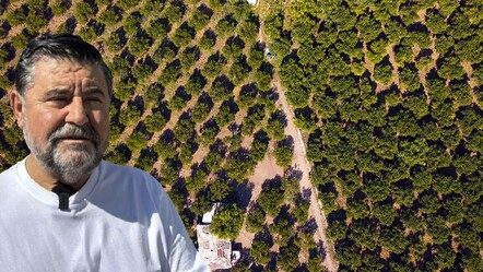 Tadı, kokusu ve aromasıyla eşi benzeri yok! Hasattan önce satışı başladı, beklenti yüksek - Ekonomi