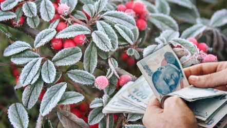 Zirai donun vurduğu çiftçiye bakanlıktan müjde! 13 milyar TL'lik destek ödemesi için tarih belli oldu - Ekonomi