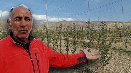 İlçede yetişen elma hayatına yön verdi: Harçlıkla başladı, şimdi 100 dönüm arazisi var - Ekonomi