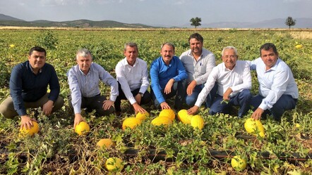Kilosu 10 lira! Tadı ve fiyatıyla memnun eden lezzet tescillendi - Ekonomi