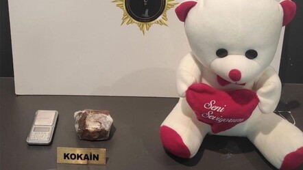 Samsun'da oyuncak ayının içinden uyuşturucu çıktı - 3. Sayfa