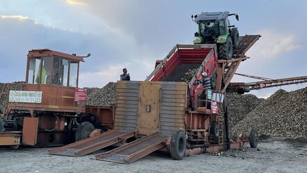 Soğuk gelmeden hasat yarışı! Karslı çiftçiler tarlada gece gündüz mesai yapıyor - Ekonomi