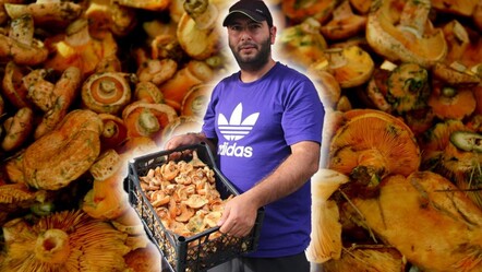 Ege'nin en sevilen lezzeti! Kilosu 500 liradan tezgahlarda yerini aldı - Ekonomi