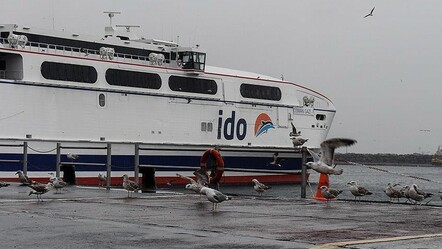 İstanbul için 'sarı kod' verildi! Bazı İDO seferleri iptal - Gündem