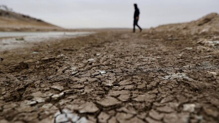Kuraklıkta tarihi dönem! Ürün kayıpları yüzde 85'e ulaştı, Türkiye için risk büyüyor - Ekonomi