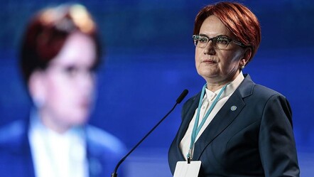 Meral Akşener uzun süre sonra sessizliğini İYİ Parti için bozdu - Gündem