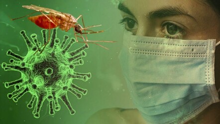Çin'de bu sivrisinekler virüs saçıyor! Yerleşim yerleri risk altında - Sağlık