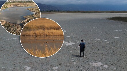 Flamingo, kılkuyruk, çıkrıkçın, kaşı gaga, yeşilbaş! Çöle dönen Milleyha'da kuş sesleri yankılanmaya başladı - Yaşam