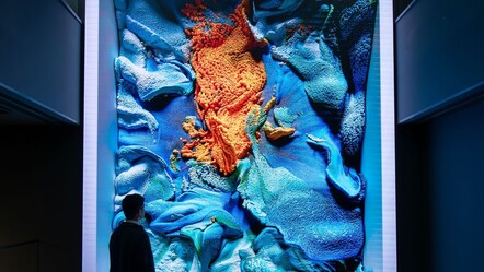 33 Millî Park’tan doğan çalışma! Türkiye’nin çiçekleri dijital sanata dönüştü - Kültür - Sanat