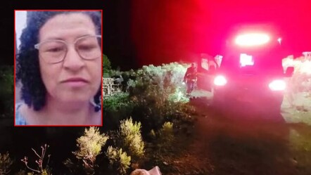 Aracıyla arı kovanlarına daldı! Yardıma gelen babası da kurtarılamadı - Dünya