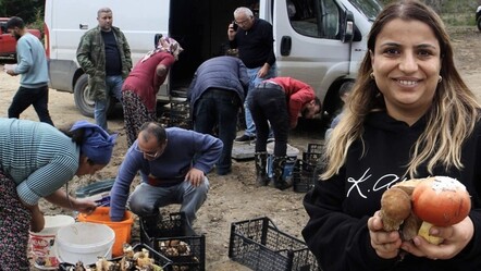 Bu ormanda servet yatıyor! Kilogramı 600 liradan satılıyor, 1 haftada 20 milyon lira kazanç - Ekonomi